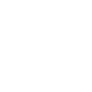 Alpina Logo