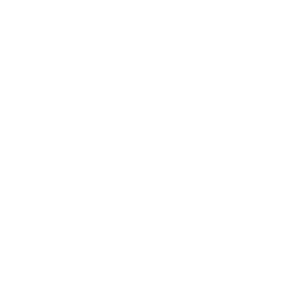 BMW Logo