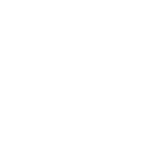 Iveco Logo