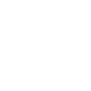 Siemens Logo