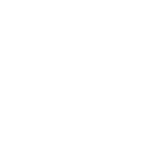 Südchemie Logo