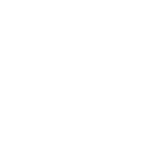 Toshiba Logo