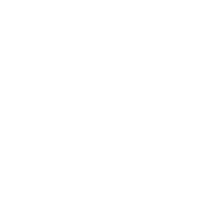 Union Investment Logo